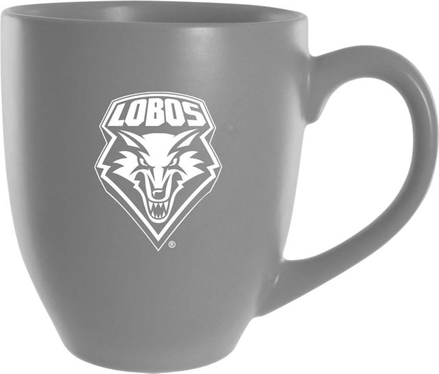 BISTRO MUG 16OZ SP/ORANG/    .