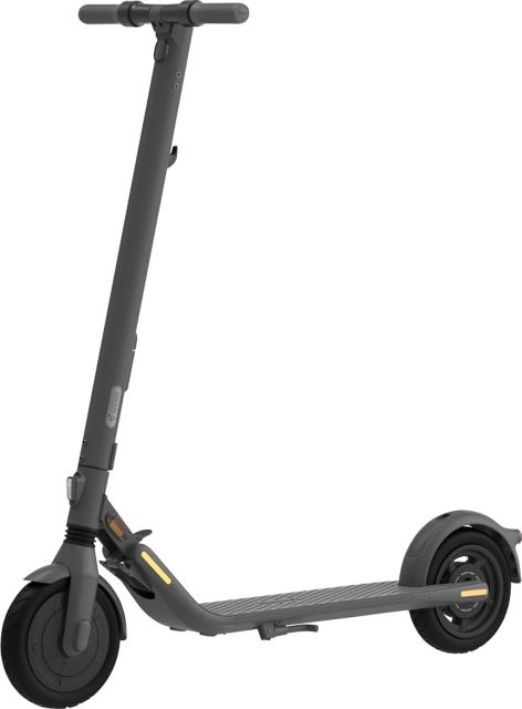 Segway Ninebot Kickscooter E25A, Gray - ONLINE ONLY